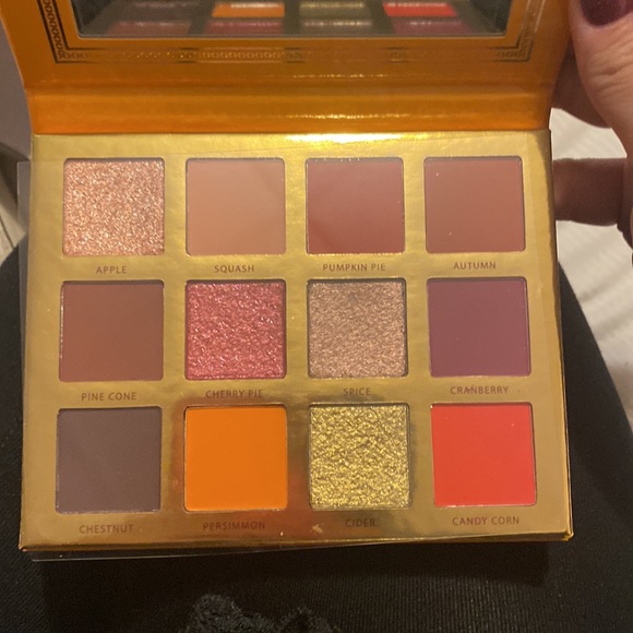 Ace Beaute falling for you eyeshadow palette - Picture 2 of 2